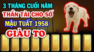 Chúc Mừng MẬU TUẤT 1958 bề trên ban lộc trúng số đổi đời tiền xếp chật két 3 tháng cuối năm 2024