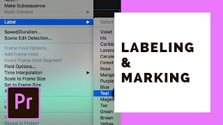 Marking & Labeling Shots | Premiere Pro Organization Tips