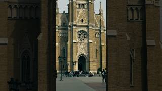 Church of the Holy Name of Mary, Novi Sad