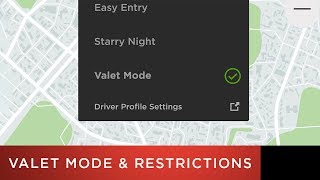 Tesla Model 3 Quick Video | Valet Mode