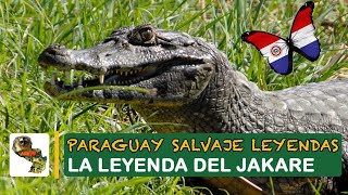 Paraguay Salvaje: Leyenda del Jakare