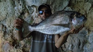 Live Fishing pesca em directo