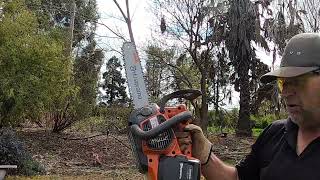 344.Husqvarna T540i XP BATTERY SAW. Cutting trees down