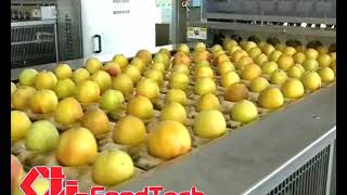 CTi Italy - ikinci el   Peach Pitter 300-A