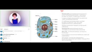 ИННОВАЦИОННЫЙ ПРОДУКТ С ОЛИГОСАХАРИДАМИ   METACELL