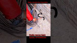 इतना खतरनाक कोबरा बैठा 3 दिन से!!#cobrasnakerescue#shortsvideo#shorts#shortsyoutube#shortsviral