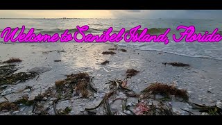 Welcome to Sanibel Island, Florida! Enjoy sunrise at Lighthouse Beach Park #wavesounds #floridabeach