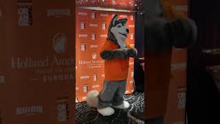 🕺🐕 Watch this dog dance at #hollandamericaline Orange Party 🧡🧡 It’s the self 5 for me 🖐️ 😆