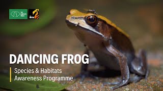 Northern Dancing Frog - Species & Habitats Awareness Programme