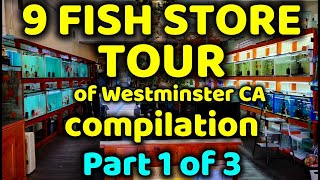 VISITING 9 FISH STORES IN WESTMINSTER CA TOUR COMPLIATION: PART 1 OF 3