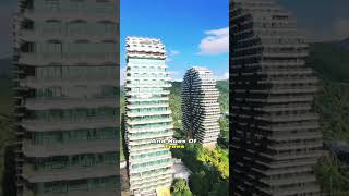 Would you spend a night at this unique hotel? Sanya's Tree Hotel