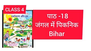 CLASS 4 unit -18  जंगल mein पिकनिक पर्यावरण और हम कार्यपुस्तक work book answers 2024/25 bihar