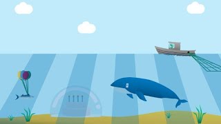 Code Playground Live: Whale Escape