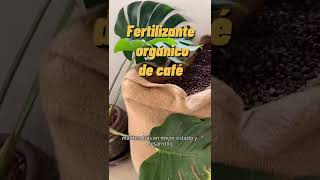 Fertilizante de café