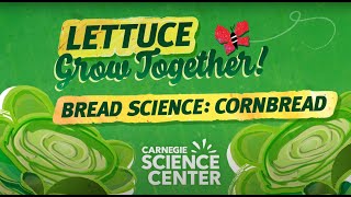 Cornbread Recipe — Lettuce Grow Together