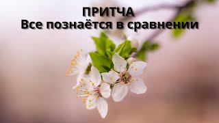 ПРИТЧА. Все познаётся в сравнении. Мудрость веков.