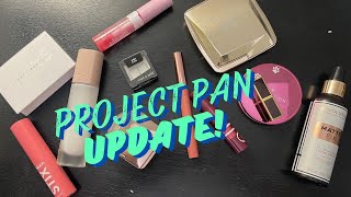 Project Pan Update #4 | It's finally done!