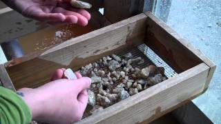 Gem Mining at Sugar Mountain, NC