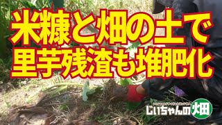 里芋の残渣処理。米糠と畑の土と水で堆肥にします。【残渣堆肥】【雑草堆肥】10/2