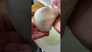 Milk & Vinegar Mozzarella