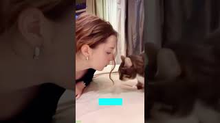 ❤️🐈 Funny cats ❤️🐈 , ❤️Cute cats #CatHouse  episode 636