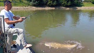 Pecanje soma na reci Savi kod Lonjskog polja u Hrvatskoj I deo | Fishing catfish in river Sava