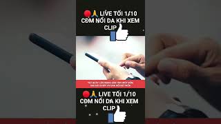 🔴🙏 LIVE TỐI 1/10: Nữ quái' chuyên s:ăn t:ình một đêm, sau đó ch:iếm đ:oạt tài s:ản