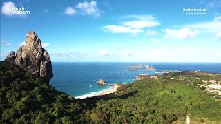 Teju Açu - Fernando de Noronha / PE