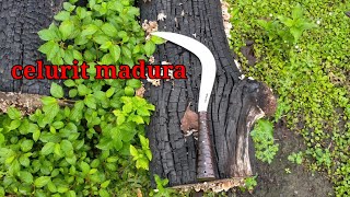 celurit madura