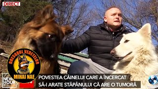 Antena 3 CNN 🐕‍🦺 Cainii care depisteaza boli si fenomene seismice