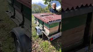 Herbstlicher Bienenflug