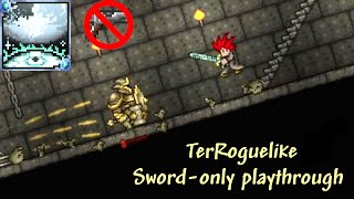 TerRoguelike, but I don't need a gun