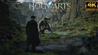 Hogwarts Legacy Combat is Amazing [PS5]