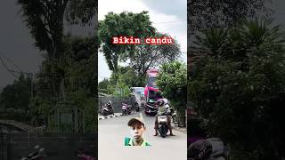 Bikin candu