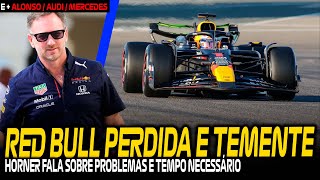 RED BULL ADMITE ESTAR PERDIDA E PEDE "UM TEMPO" / MERCEDES / ALONSO / AUDI