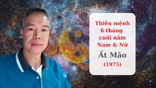 Thiên mệnh 6 tháng cuối năm Tân Sửu - Nam & Nữ tuổi Ất Mão - 1975 [ Nguyễn Hưng - Tử vi ]