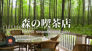 環境音+JAZZ 優しい森の喫茶店  森の中の音でリラックス 作業、勉強、リラックスタイムに CAFE MUSIC - 作業用BGM