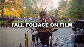 fall colors on film -- Central Park NYC with Mamiya C330