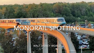 Monorail Spotting Walt Disney World