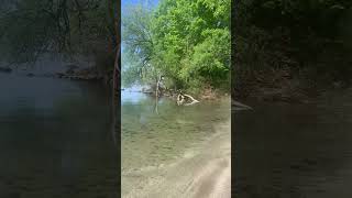 Brown’s Bay Park | Thousand Islands Pkwy, Canada #nature #shorts #river