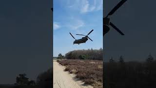 Chinook CH-47F low flyby