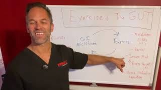 Exercise and the Gut | Exercise and Gut Health