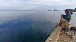 Mancing Dasaran dispot Favorit