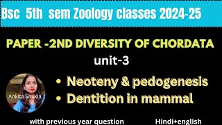 BSc 5th sem zoology class|P2|unit-3|Neoteny, pedogenesis, dentition in mammal|with pyq|hindi+english