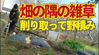 春の雑草は大きくならないうちに削り取って野積み堆肥にする。2/25