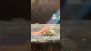 How to melt metal for jewelry #vuong #shorts#melting