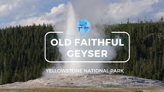 Old Faithful eruption- world's most famous geyser. Yellowstone National Park, Wyoming in 4K