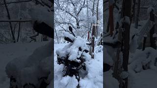 Day 6 - Mum - Kashmir Solo Ride #shorts #youtubeshorts #snow #bikeride #bikelife #travel #vlog og