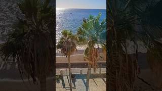 Over the ocean 🌊 #travel #greatview #waves #canarias #nature #palm