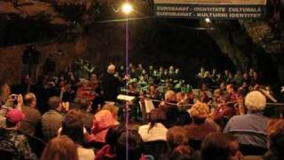 Concert Pestera Romanesti 2009 - Ludwig van Beethoven